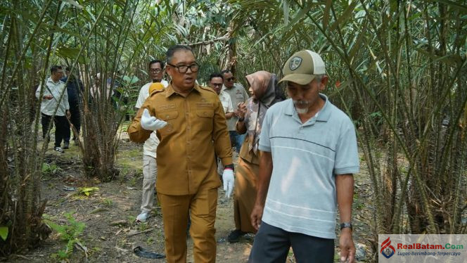 
					Wagub Kepri Nyanyang Haris Pratamura melakukan kunjungan lapangan di Perkebunan Salak Sari Intan, Gesek, KM 25, Bintan, Senin (12/10/2026). 