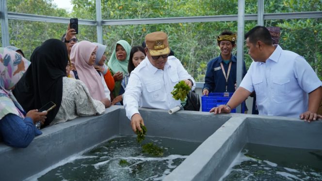 
					Wakil Gubernur Kepri, Nyanyang Haris Pratamura menghadiri sekaligus meresmikan Rumah Budidaya Rumput Laut kolaborasi antara ITB dan Kampung Nelayan Merah Putih di Kelurahan Sembulang, Batam, Senin (26/10/2026).